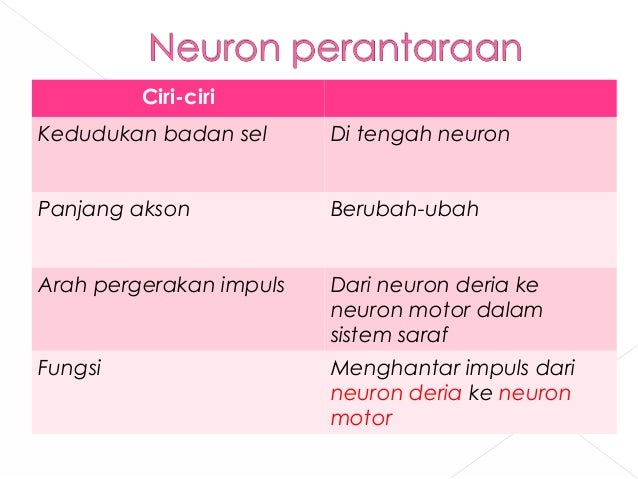 Bab 2 Koordinasi Badan