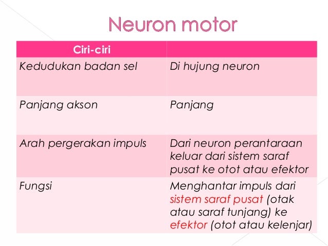 Bab 2 Koordinasi Badan