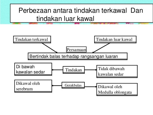 Bab 2 Kordinasi Badan