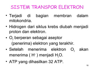 SISTEM TRANSPOR ELEKTRON
• Terjadi di bagian membran dalam
mitokondria.
• Hidrogen dari siklus krebs diubah menjadi
proton dan elektron.
• O2 berperan sebagai aseptor
(penerima) elektron yang terakhir.
• Setelah menerima elektron O2 akan
menerima ( H+ ) menjadi H2O.
• ATP yang dihasilkan 32 ATP.
18

 