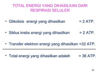 TOTAL ENERGI YANG DIHASILKAN DARI
RESPIRASI SELULER
• Glikolisis energi yang dihasilkan

= 2 ATP.

• Siklus krebs energi yang dihasilkan

= 2 ATP.

• Transfer elektron energi yang dihasilkan =32 ATP.
• Total energi yang dihasilkan adalah

= 36 ATP.

20

 