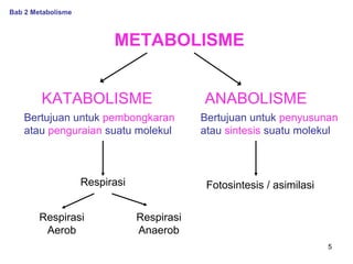 Bab 2 Metabolisme

METABOLISME
KATABOLISME
Bertujuan untuk pembongkaran
atau penguraian suatu molekul

Respirasi
Respirasi
Aerob

ANABOLISME
Bertujuan untuk penyusunan
atau sintesis suatu molekul

Fotosintesis / asimilasi
Respirasi
Anaerob
5

 