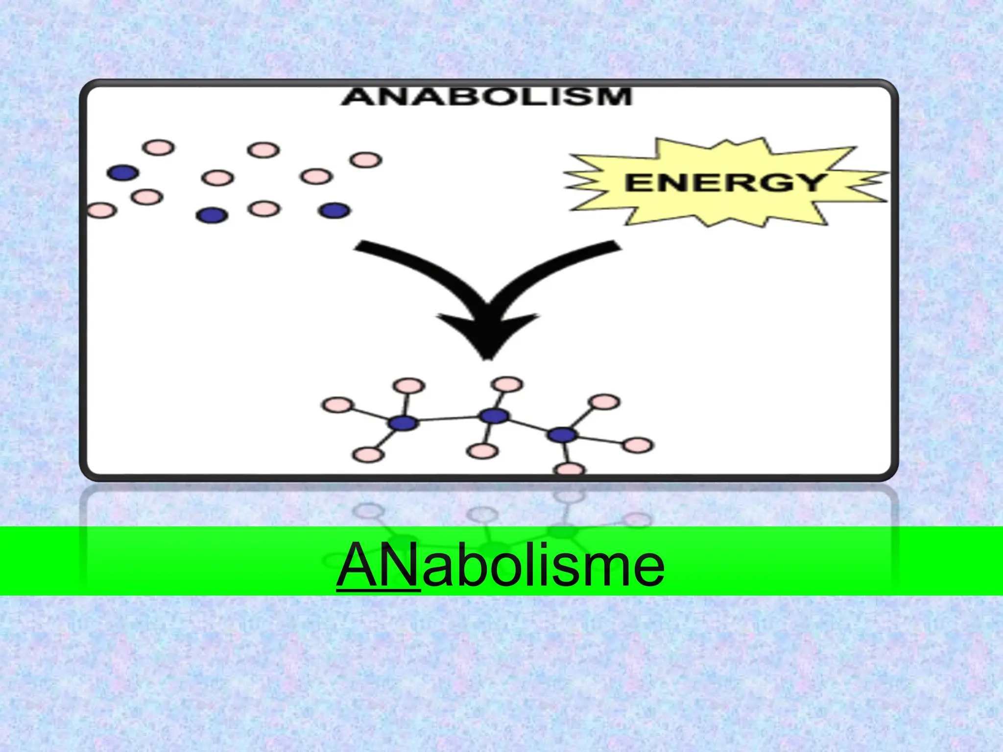 anabolisme proses metabolisme biologi sel makhluk hidup