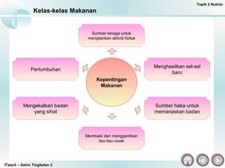 ITeach – Sains Tingkatan 2
Kelas-kelas Makanan
Topik 2 Nutrisi
Kepentingan
Makanan
Sumber tenaga untuk
menjalankan aktiviti fizikal
Membaiki dan menggantikan
tisu-tisu rosak
Menghasilkan sel-sel
baru
Sumber haba untuk
memanaskan badan
Pertumbuhan
Mengekalkan badan
yang sihat
 