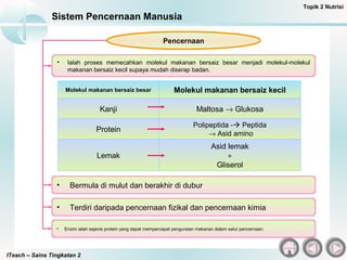 • Enzim ialah sejenis protein yang dapat mempercepat penguraian makanan dalam salur pencernaan.
ITeach – Sains Tingkatan 2
Sistem Pencernaan Manusia
Topik 2 Nutrisi
• Ialah proses memecahkan molekul makanan bersaiz besar menjadi molekul-molekul
makanan bersaiz kecil supaya mudah diserap badan.
Pencernaan
• Bermula di mulut dan berakhir di dubur
• Terdiri daripada pencernaan fizikal dan pencernaan kimia
Molekul makanan bersaiz besar Molekul makanan bersaiz kecil
Kanji Maltosa → Glukosa
Protein
Polipeptida - Peptida
→ Asid amino
Lemak
Asid lemak
+
Gliserol
 