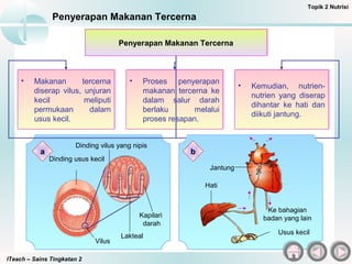 ITeach – Sains Tingkatan 2
Penyerapan Makanan Tercerna
Topik 2 Nutrisi
Penyerapan Makanan TercernaPenyerapan Makanan Tercerna
• Makanan tercerna
diserap vilus, unjuran
kecil meliputi
permukaan dalam
usus kecil.
• Makanan tercerna
diserap vilus, unjuran
kecil meliputi
permukaan dalam
usus kecil.
• Proses penyerapan
makanan tercerna ke
dalam salur darah
berlaku melalui
proses resapan.
• Proses penyerapan
makanan tercerna ke
dalam salur darah
berlaku melalui
proses resapan.
• Kemudian, nutrien-
nutrien yang diserap
dihantar ke hati dan
diikuti jantung.
• Kemudian, nutrien-
nutrien yang diserap
dihantar ke hati dan
diikuti jantung.
a b
Dinding usus kecil
Vilus
Dinding vilus yang nipis
Kapilari
darah
Lakteal
Hati
Jantung
Usus kecil
Ke bahagian
badan yang lain
 