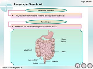 ITeach – Sains Tingkatan 2
Penyerapan Semula Air
Topik 2 Nutrisi
• Air, vitamin dan mineral terlarut diserap di usus besar.
Penyerapan Semula Air
• Makanan tak tercerna disingkirkan melalui dubur.
Penyahtinjaan
Usus
besar
Najis
Rektum
Dubur
Appendiks
Usus kecil
 
