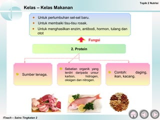 ITeach – Sains Tingkatan 2
Kelas – Kelas Makanan
Topik 2 Nutrisi
Sumber tenaga.
2. Protein
Sebatian organik yang
terdiri daripada unsur
karbon, hidrogen,
oksigen dan nitrogen.
Untuk pertumbuhan sel-sel baru.
Untuk membaiki tisu-tisu rosak.
Fungsi
Untuk menghasilkan enzim, antibodi, hormon, tulang dan
otot
Contoh: daging,
ikan, kacang.
 