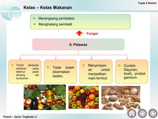 ITeach – Sains Tingkatan 2
Kelas – Kelas Makanan
Topik 2 Nutrisi
Terdiri daripada
selulosa yang
ditemui pada
dinding sel
tumbuhan
6. Pelawas
Tidak boleh
dicernakan
badan.
Merangsang peristalsis
Menghalang sembelit
Fungsi
Menyimpan
air untuk
menjadikan
najis lembut.
Contoh:
Sayuran,
buah, produk
gandum.
 