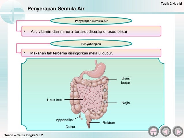 Bab 2 Nutrisi