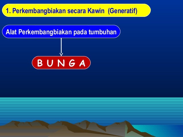  Contoh  Hewan  Dan Tumbuhan Yang Berkembang Biak Secara  