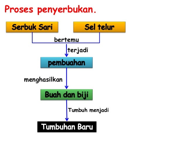 Bab 2 Perkembangbiakan Tumbuhan