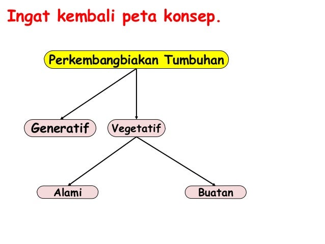 Bab 2 Perkembangbiakan Tumbuhan