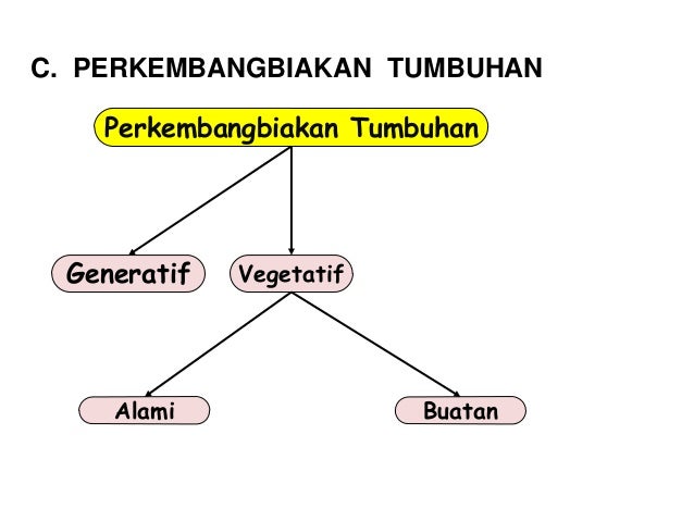 Bab 2 perkembangbiakan tumbuhan