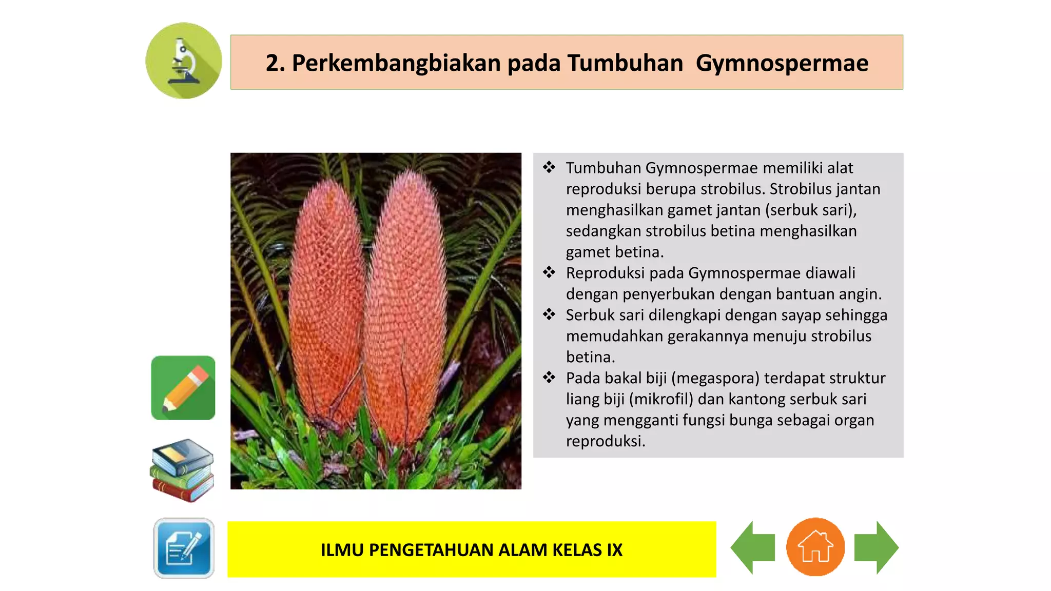 BAB 2 Perkembangbiakan Tumbuhan ppt.pptx