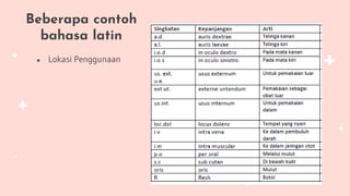 Beberapa contoh
bahasa latin
● Lokasi Penggunaan
 