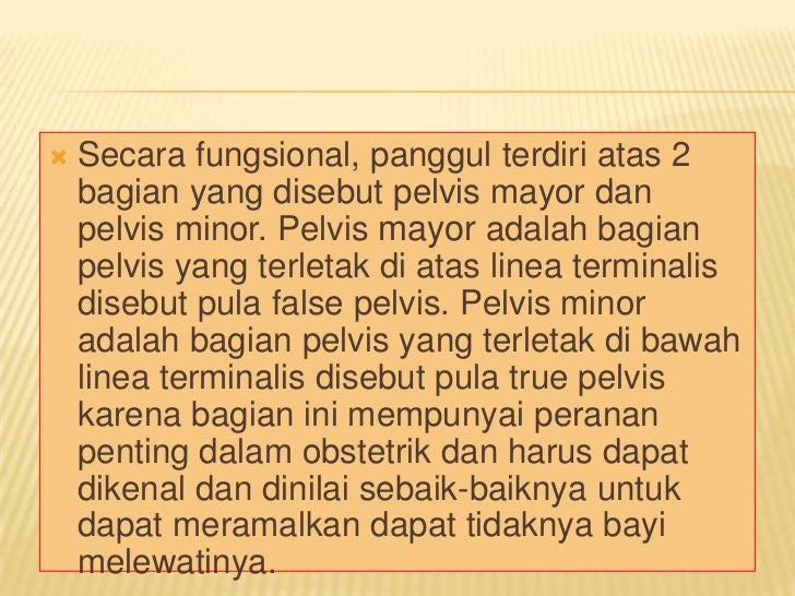 Bab 2 sistem gerak pada manusia