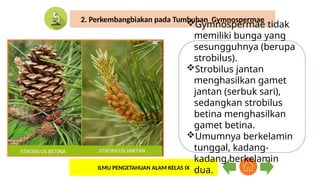 Materi tentang Sistem Perkembangbiakan Tumbuhan dan Hewan Kelas 9 SMP ...