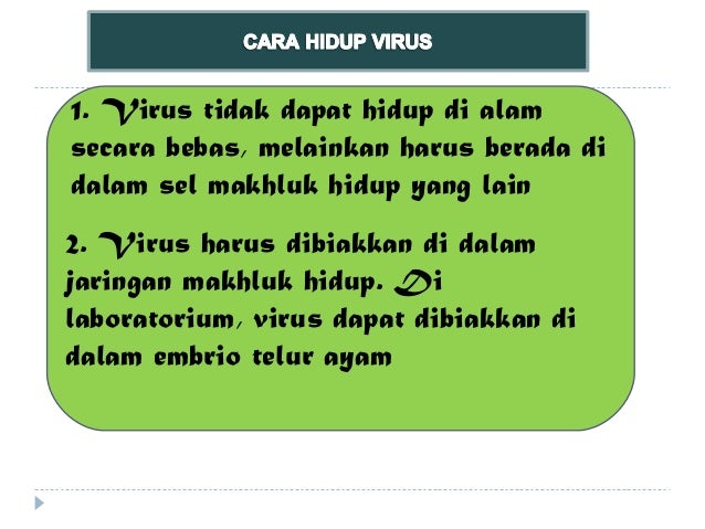 Bab 2 Virus By Poslen Simbolon S Pd