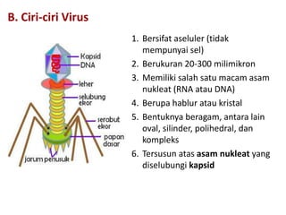 Bab 2 virus | PPTX