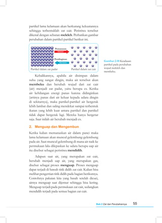 55
Bab 2 Zat dan Perubahannya
partikel lama kelamaan akan berkurang kekuatannya
sehingga terbentuklah zat cair. Peristiwa tersebut
dikenal dengan sebutan meleleh. Perhatikan gambar
perubahan dalam partikel-partikel berikut ini.
Kebalikannya, apabila air disimpan dalam
suhu yang sangat dingin, maka air tersebut akan
membeku dan berubah wujud dari zat cair
(air) menjadi zat padat, yaitu berupa es. Ketika
air kehilangan energi panas karena didinginkan
(artinya panas dari air keluar kepada udara dingin
di sekitarnya), maka partikel-partikel air bergerak
lebih lambat dan saling mendekat sampai terbentuk
ikatan yang lebih kuat antara partikel dan partikel
tidak dapat bergerak lagi. Mereka hanya bergetar
saja. Saat inilah air berubah menjadi es.
2. Menguap dan Mengembun
Ketika kalian memanaskan air dalam panci maka
lama kelamaan akan muncul gelembung-gelembung
pada air. Saat muncul gelembung di mana air naik ke
permukaan lalu dilepaskan ke udara berupa uap air
itu disebut sebagai peristiwa mendidih.
Adapun saat air, yang merupakan zat cair,
berubah menjadi uap air, yang merupakan gas,
disebut sebagai proses menguap. Proses menguap
dapat terjadi di bawah titik didih zat cair. Kalian bisa
melihat pengertian titik didih pada bagian berikutnya.
Contohnya pakaian kita yang basah setelah dicuci,
airnya menguap saat dijemur sehingga bisa kering.
Menguap terjadi pada permukaan zat cair, sedangkan
mendidih terjadi pada semua bagian zat cair.
Gambar 2.10 Keadaaan
partikel pada perubahan
wujud meleleh dan
membeku.
Pemanasan
Pendinginan
Partikel dalam zat padat Partikel dalam zat cair
Meleleh
Membeku
 