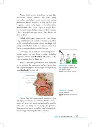51
Bab 2 Zat dan Perubahannya
Aroma kopi, aroma masakan, parfum dan
bau-bauan lainnya, dibawa oleh udara, yang
merupakan partikel gas untuk sampai pada indera
penciuman kalian. Ingatlah bahwa partikel gas
bergerak secara acak, dapat bertabrakan (atau
bertumbukan) dan sangat cepat sehingga bau-
bau tersebut dapat kalian rasakan walaupun jarak
kalian cukup jauh dengan sumber bau. Proses ini
disebut difusi.
Difusi adalah pergerakan partikel dari daerah
yang partikelnya lebih banyak ke tempat yang lebih
sedikit sampai keadaaannya seimbang. Ketika partikel
saling bertumbukan maka bau menjadi menyebar
karena bercampur dengan partikel lainnya.
Difusi juga terjadi pada zat cair karena partikel-
partikel dalam zat cair dapat bergerak. Kejadian
seperti itu terlihat pada Gambar 2.6 apabila suatu
zat warna diteteskan ke dalam air.
Tahukah kalian bagaimana cara kita mencium
aroma masakan ibu atau aroma parfum, bahkan bau
dari tumpukan sampah? Lihatlah bagan hidung manusia
pada Gambar 2.7 berikut ini.
Gambar 2.6 Keadaan air
dan zat warna sebelum, saat
dan setelah difusi.
Sumber: shutterstock.com/shuttertun
Aroma dan bau-bauan masuk melalui rongga
hidung atau nostril saat kita bernapas. Aroma dan bau-
bauan tadi kemudian masuk melalui rambut-rambut
halus atau silia yang ada di ujung saraf pembau.
Aroma dan bau-bauan itu melalui saraf disalurkan ke
otak sehingga kita mengetahui bau tersebut.
Gambar 2.7 Anatomi
hidung manusia.
Sumber: wikipedia.org/Patrick J. Lynch
(2006)
rongga hidung
saraf pembau
silia saraf pembau
bulbus olfaktorius
serabut saraf ke
otak
 