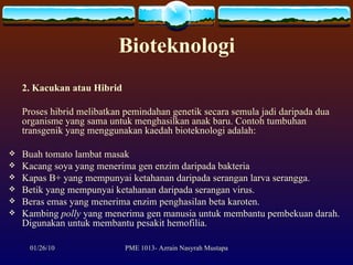Bioteknologi 2. Kacukan atau Hibrid Proses hibrid melibatkan pemindahan genetik secara semula jadi daripada dua organisme yang sama untuk menghasilkan anak baru. Contoh tumbuhan transgenik yang menggunakan kaedah bioteknologi adalah: Buah tomato lambat masak Kacang soya yang menerima gen enzim daripada bakteria Kapas B+ yang mempunyai ketahanan daripada serangan larva serangga. Betik yang mempunyai ketahanan daripada serangan virus. Beras emas yang menerima enzim penghasilan beta karoten. Kambing  polly  yang menerima gen manusia untuk membantu pembekuan darah. Digunakan untuk membantu pesakit hemofilia.  