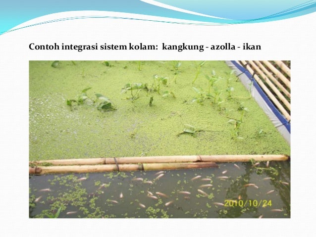 Bahan Kuliah Pertanian Terpadu Bab 3 Prinsip Dasar Bahan Kuliah Pertanian Terpadu Bab 3 Prinsip Dasar