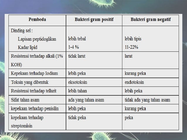 Bakteri GRAM negatif dan bakteri gram positif | PPTX