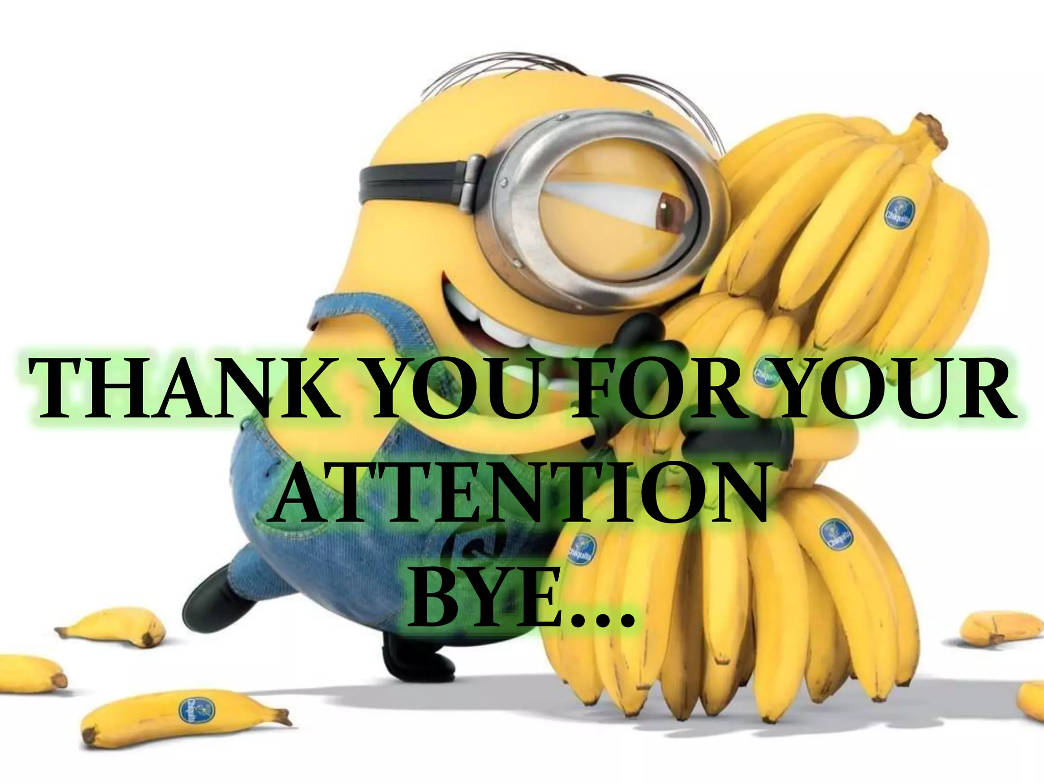 THANK YOU FOR YOUR 
ATTENTION 
BYE... 
