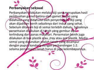 Perbanyakan seksual
Perbanyakan dilakukan melalui biji yang merupakan hasil
pembuahan gamet betina oleh gamet jantan yang
didahului yang didahului oleh penyerbukan. Biji yang
akan dijadikan benih sebaiknya dari induk yang sehat.
Sebelum ditanam biji di semai terlebih dahulu. Sebaiknya
persemaian dilakukan di tanah yang gembur dan
terlindung dari panas matahari. Persemaian benih juga
dilakukan di bak plastik atau ,tray atau pot plastik. Media
semai yang digunakan adalah tanah yang dicampur
dengan pupuk kandang dengan perbandingan 1:2.
selama persemaian tanah harus di jaga kelembapannya.
 
