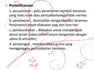 • Pemeliharaan
a. penyulaman , yaitu penanaman kembali tanaman
yang mati,rusak atau pertumbuhannya tidak normal.
b. penyiraman , disesuaikan dengan kondisi tanaman.
Penyiraman dapat dilakukan pagi dan sore hari
c. pembumbuhan , dilakukan untuk memperbaiki
aerasi tanah (udara dalam tanam bergantian dengan
udara di atmosfer)
d. penyiangan , membersihkan gulma yang
mengganggua pertumbuhan tanaman.
 