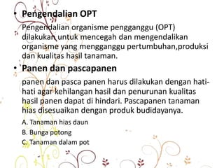 • Pengendalian OPT
Pengendalian organisme pengganggu (OPT)
dilakukan untuk mencegah dan mengendalikan
organisme yang mengganggu pertumbuhan,produksi
dan kualitas hasil tanaman.
• Panen dan pascapanen
panen dan pasca panen harus dilakukan dengan hati-
hati agar kehilangan hasil dan penurunan kualitas
hasil panen dapat di hindari. Pascapanen tanaman
hias disesuaikan dengan produk budidayanya.
A. Tanaman hias daun
B. Bunga potong
C. Tanaman dalam pot
 