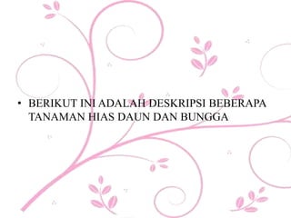 • BERIKUT INI ADALAH DESKRIPSI BEBERAPA
TANAMAN HIAS DAUN DAN BUNGGA
 