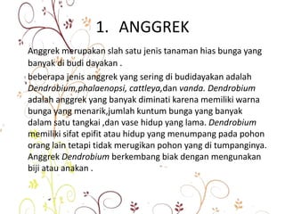 1. ANGGREK
Anggrek merupakan slah satu jenis tanaman hias bunga yang
banyak di budi dayakan .
beberapa jenis anggrek yang sering di budidayakan adalah
Dendrobium,phalaenopsi, cattleya,dan vanda. Dendrobium
adalah anggrek yang banyak diminati karena memiliki warna
bunga yang menarik,jumlah kuntum bunga yang banyak
dalam satu tangkai ,dan vase hidup yang lama. Dendrobium
memiliki sifat epifit atau hidup yang menumpang pada pohon
orang lain tetapi tidak merugikan pohon yang di tumpanginya.
Anggrek Dendrobium berkembang biak dengan mengunakan
biji atau anakan .
 