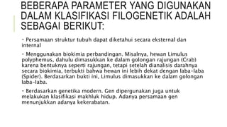 BEBERAPA PARAMETER YANG DIGUNAKAN
DALAM KLASIFIKASI FILOGENETIK ADALAH
SEBAGAI BERIKUT:
Persamaan struktur tubuh dapat diketahui secara eksternal dan
internal
Menggunakan biokimia perbandingan. Misalnya, hewan Limulus
polyphemus, dahulu dimasukkan ke dalam golongan rajungan (Crab)
karena bentuknya seperti rajungan, tetapi setelah dianalisis darahnya
secara biokimia, terbukti bahwa hewan ini lebih dekat dengan laba-laba
(Spider). Berdasarkan bukti ini, Limulus dimasukkan ke dalam golongan
laba-laba.
Berdasarkan genetika modern. Gen dipergunakan juga untuk
melakukan klasifikasi makhluk hidup. Adanya persamaan gen
menunjukkan adanya kekerabatan.
 