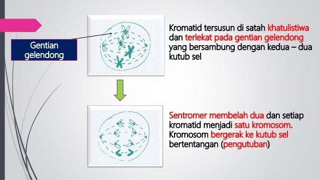 Bab 3.0