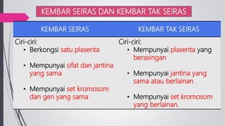 KEMBAR SEIRAS DAN KEMBAR TAK SEIRAS
KEMBAR SEIRAS KEMBAR TAK SEIRAS
Ciri-ciri:
• Berkongsi satu plasenta
• Mempunyai sifat dan jantina
yang sama
• Mempunyai set kromosom
dan gen yang sama
Ciri-ciri:
• Mempunyai plasenta yang
berasingan
• Mempunyai jantina yang
sama atau berlainan
• Mempunyai set kromosom
yang berlainan.
 