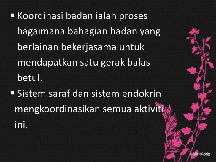 Bab 3 Biologi Ting 5