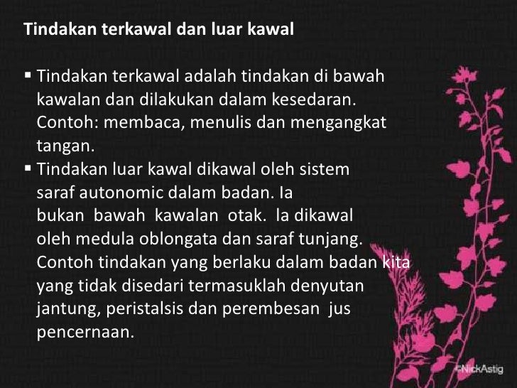 20+ Saraf Tunjang Rosak Pics