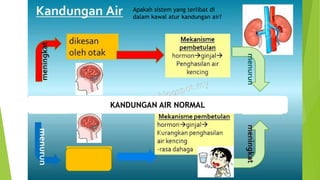 Faktor fizikal homeostasis