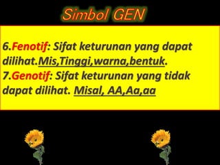 6.Fenotif: Sifat keturunan yang dapat
dilihat.Mis,Tinggi,warna,bentuk.
7.Genotif: Sifat keturunan yang tidak
dapat dilihat. Misal, AA,Aa,aa
 