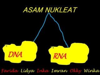 ASAM NUKLEAT
DNA RNA
Farida Lidya Inka Imran Okky Winka
 