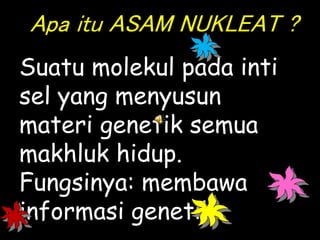 Apa itu ASAM NUKLEAT ?
Suatu molekul pada inti
sel yang menyusun
materi genetik semua
makhluk hidup.
Fungsinya: membawa
informasi genetik
 