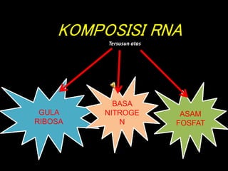 GULA
RIBOSA
KOMPOSISI RNA
Tersusun atas
ASAM
FOSFAT
BASA
NITROGE
N
 