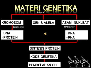 KROMOSOM GEN & ALELA ASAM NUKLEAT
-DNA
-PROTEIN
-DNA
-RNA
SINTESIS PROTEIN
KODE GENETIKA
PEMBELAHAN SEL
meliputi
Terdiri atas Terdiri atas
 