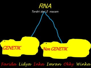 RNA
Terdiri dari 2 macam
GENETIK NonGENETIK
Farida Lidya Inka Imran Okky Winka
 