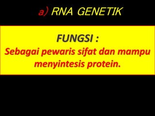 a) RNA GENETIK
FUNGSI :
Sebagai pewaris sifat dan mampu
menyintesis protein.
 