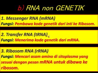 b) RNA non GENETIK
1. Messenger RNA (mRNA)
Fungsi: Pembawa kode genetik dari inti ke Ribosom.
2. Transfer RNA (tRNA)
Fungsi: Menerima kode genetik dari mRNA.
3. Ribosom RNA (rRNA)
Fungsi: Mencari asam amino di sitoplasma yang
sesuai dengan pesan mRNA untuk dibawa ke
ribosom.
 
