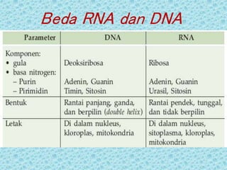 Beda RNA dan DNA
 